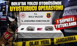 Bolu’da Yolcu Otobüsünde Uyu*şt*rucu Operasyonu: 1 Tutuklama