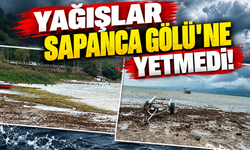 Yağışlar Sapanca Gölü’ne yetmedi: Su seviyesi 29,56 metreye geriledi