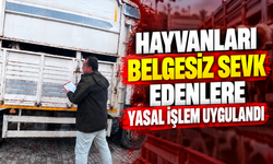 Hayvanları belgesiz sevk edenlere yasal işlem uygulandı