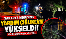 Sakarya Nehri’nden yardım çığlıkları yükseldi!