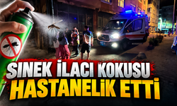 Sinek ilaçlaması sonrası korkutan olay: 76 yaşındaki kadın ve 2 sağlık çalışanı hastanelik oldu