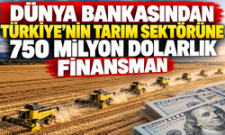 Dünya Bankasından Türkiye’nin Tarım Sektörüne 750 Milyon Dolarlık Finansman