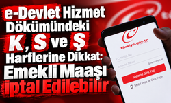 e-Devlet Hizmet Dökümündeki K, S ve Ş Harflerine Dikkat: Emekli Maaşı İptal Edilebilir