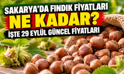 Sakarya’da fındık fiyatları ne kadar? İşte 29 Eylül güncel fiyatları