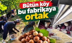 Bütün köy bu fabrikaya ortak! Sakarya Çikolatası Amerika'ya ihraç edildi