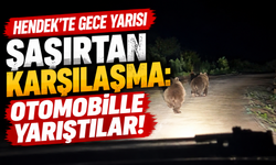 Hendek’te gece yarısı şaşırtan karşılaşma: Otomobille yarıştılar!