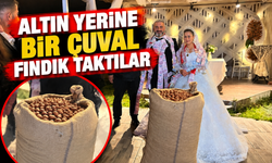 Düğünde altın yerine bir çuval fındık taktılar