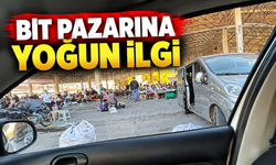 Ozanlar Bit Pazarı yine doldu taştı: Vatandaşlar tezgâhları tek tek gezdi