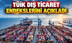 TÜİK dış ticaret endekslerini açıkladı