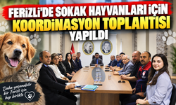 Ferizli’de Sokak Hayvanları İçin Koordinasyon Toplantısı Yapıldı
