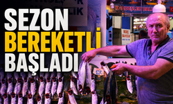 Av yasağı sona erdi, tezgâhlar palamut ve hamsiyle doldu
