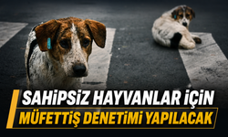 Sahipsiz hayvanlar için müfettiş denetimi yapılacak