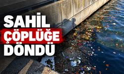 O sahil çöplüğe döndü