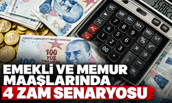 Emekli ve memur maaşlarında 4 zam senaryosu