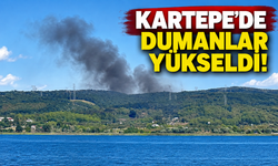Kartepe mevkiinde yükselen dumanlar endişelendirdi
