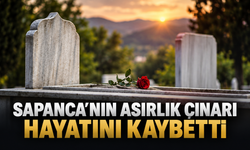 Sapanca’nın asırlık çınarı hayatını kaybetti