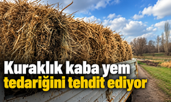 Kuraklık kaba yem tedariğini tehdit ediyor