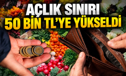 Açlık sınırı 49 bin 655 liraya yükseldi