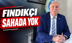 Fındıkçı sahada yok