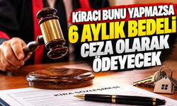 Kiracı bunu yapmazsa 6 aylık kira ödeme cezası alacak!