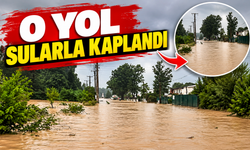 O yol sularla kaplandı