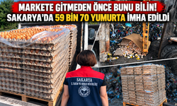 Sakarya’da 59 bin 70 yumurta imha edildi