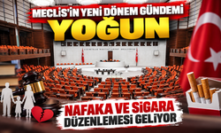Meclis’in Yeni Dönem Gündemi Yoğun: Nafaka ve Sigara Düzenlemesi Geliyor