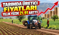 Tarımda Üretici Fiyatları Yıllık Yüzde 21,91 Arttı