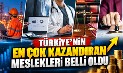 Türkiye’nin En Çok Kazandıran Meslekleri Belli Oldu