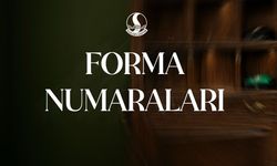 Sakaryaspor'da kadro numaraları açıklandı!