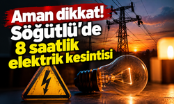 Aman dikkat! Söğütlü’de 8 saatlik elektrik kesintisi