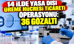 14 ilde yasa dışı üreme hücresi ticareti operasyonu: 36 gözaltı