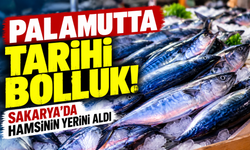 Palamutta tarihi bolluk! Sakarya'da hamsinin yerini aldı