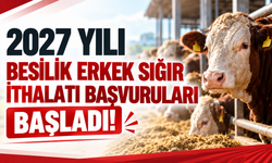 2027 Yılı Besilik Erkek Sığır İthalatı Başvuruları Başladı