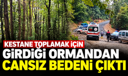 Sapanca'da kestane toplamaya giden 66 yaşındaki adam ölü bulundu!