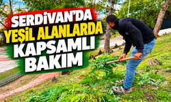 Serdivan’da yeşil alanlarda kapsamlı bakım