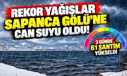 Rekor yağışlar Sapanca Gölü'ne can suyu oldu! 3 günde 61 santim yükseldi