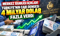 Merkez Bankası açıkladı! Türkiye'nin cari dengesi 4 milyar dolar fazla verdi