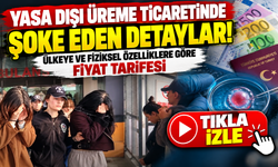 Yasa dışı üreme ticaretinde şoke eden detaylar! Ülkeye ve fiziksel özelliklere göre fiyat tarifesi