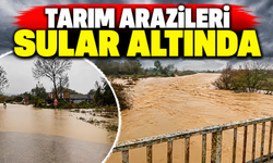 Tarım arazileri sular altında kaldı