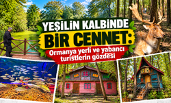 Yeşilin kalbinde bir cennet: Ormanya yerli ve yabancı turistlerin gözdesi