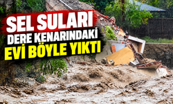 Sapanca'da dere kenarındaki ev saniyeler içinde yıkıldı