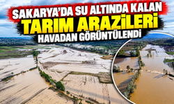 Sakarya'da su altında kalan tarım arazileri havadan görüntülendi