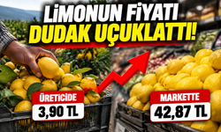 Limonun fiyatı dudak uçuklattı! Üreticide 3,90 TL, markette 42,87 TL