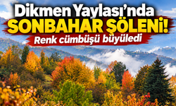 Dikmen Yaylası’nda sonbahar şöleni! Renk cümbüşü büyüledi