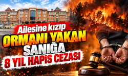 Ailesine kızıp ormanı ateşe verdi! Cezası ağır oldu