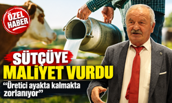 Üretici ayakta kalmakta zorlanıyor