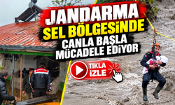 Jandarma sel bölgesinde canla başla mücadele ediyor!