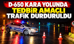 Sakarya'da D-650 kara yolu trafiğe kapatıldı!