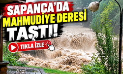 Mahmudiye Deresi taştı!